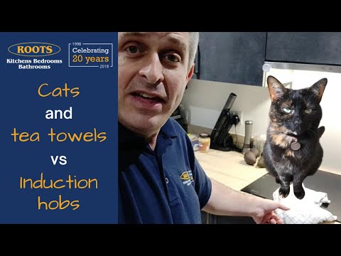 Cats and tea towels vs Induction Hobs